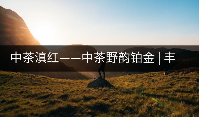 中茶滇紅——中茶野韻鉑金 | 豐苗挺秀,山野花香 中茶滇紅——中茶野韻鉑金 | 豐苗挺秀,山野花香