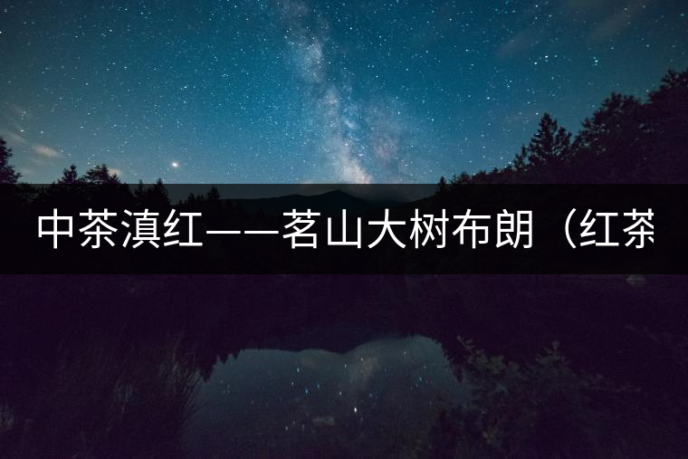中茶滇紅——茗山大樹(shù)布朗(紅茶)-苦后回甘 中茶滇紅——茗山大樹(shù)布朗(紅茶)-苦后回甘