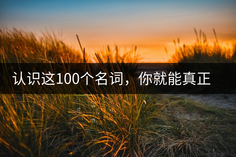 認識這100個名詞，你就能真正了解普洱茶？