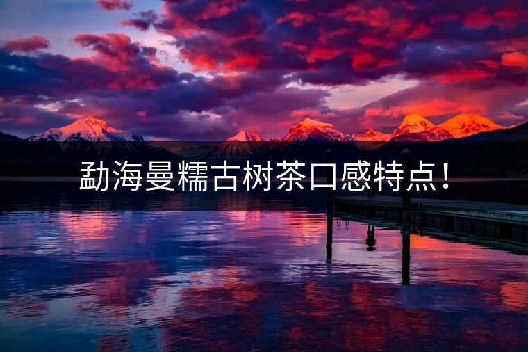 勐海曼糯古樹(shù)茶口感特點(diǎn)！