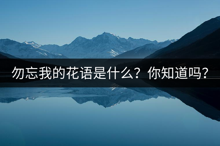 勿忘我的花語是什么？你知道嗎？