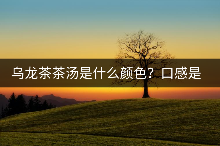 烏龍茶茶湯是什么顏色？口感是什么？