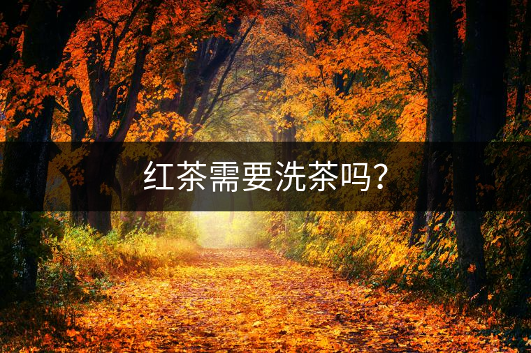 紅茶需要洗茶嗎？
