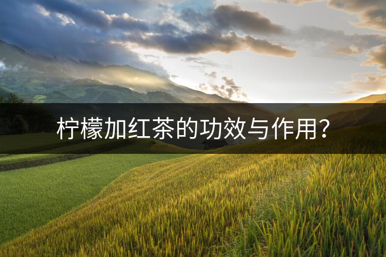 檸檬加紅茶的功效與作用？