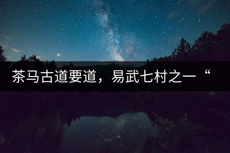 茶馬古道要道，易武七村之一“張家灣”古茶園