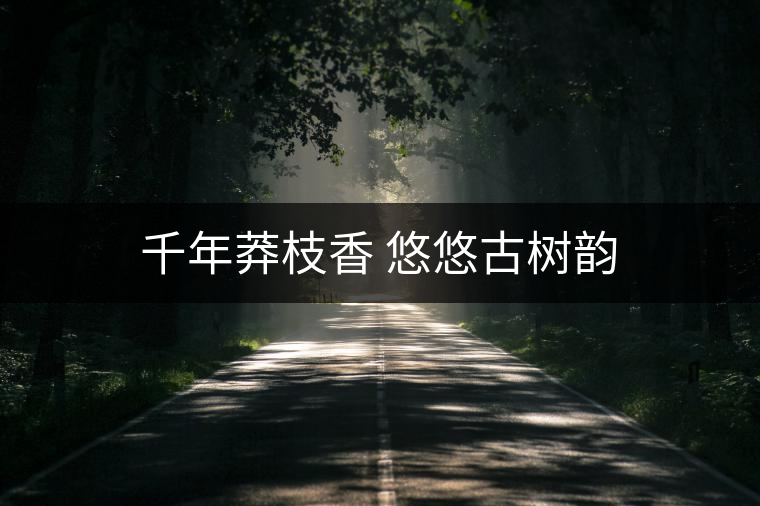 千年莽枝香 悠悠古樹(shù)韻 千年莽枝香 悠悠古樹(shù)韻