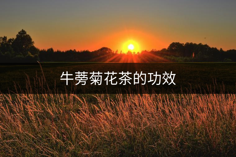 牛蒡菊花茶的功效 牛蒡菊花茶的功效