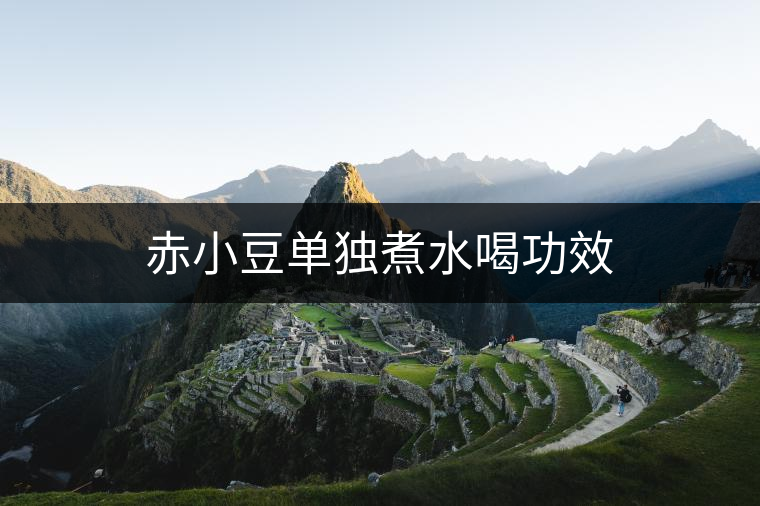 赤小豆單獨煮水喝功效