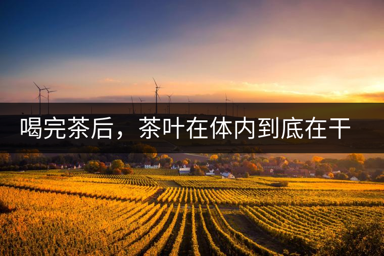 喝完茶后，茶葉在體內(nèi)到底在干嘛，游走的茶水