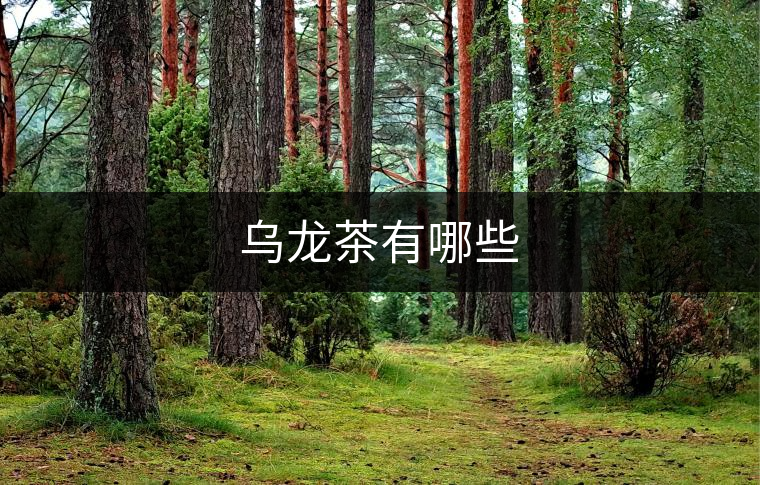 烏龍茶有哪些 烏龍茶有哪些