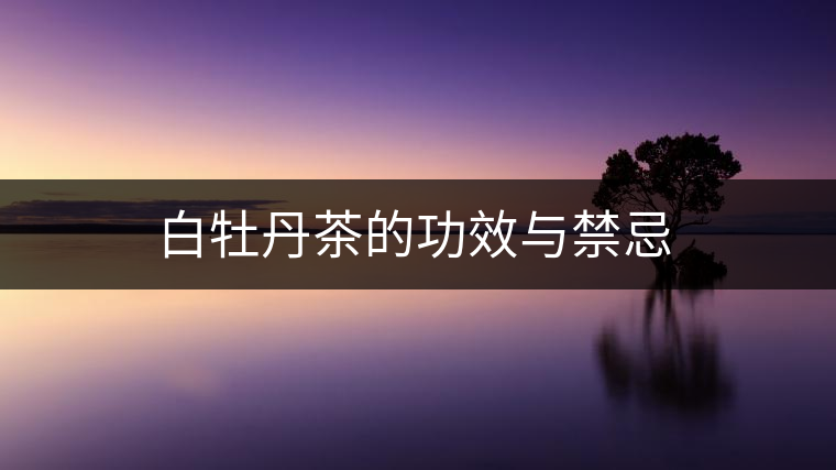 白牡丹茶的功效與禁忌 白牡丹茶的功效與禁忌