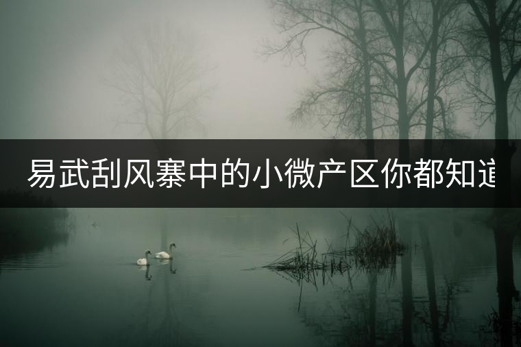 易武刮風(fēng)寨中的小微產(chǎn)區(qū)你都知道嗎？