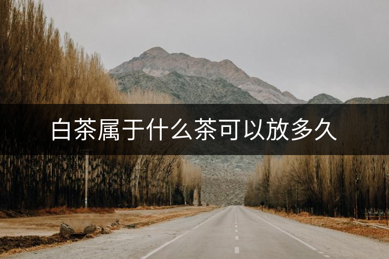 白茶屬于什么茶可以放多久