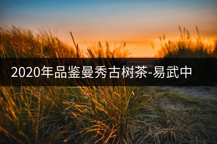 2020年品鑒曼秀古樹茶-易武中聘號(hào)