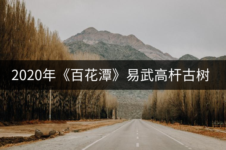 2020年《百花潭》易武高桿古樹茶中貴族-易武中聘號(hào)