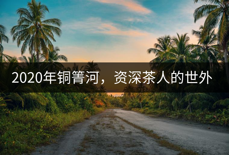 2020年銅箐河，資深茶人的世外桃源-易武-易武中聘號