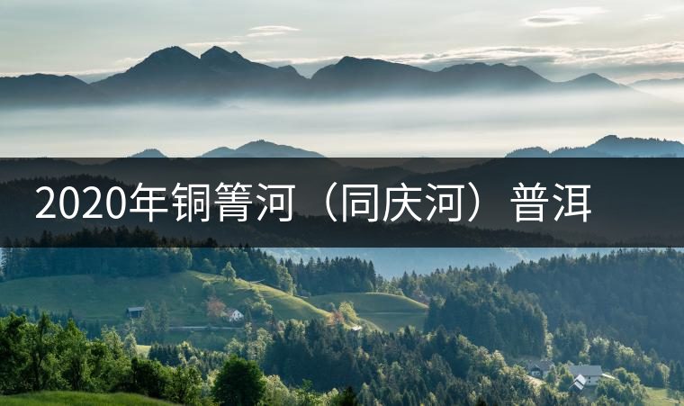 2020年銅箐河（同慶河）普洱茶，野味真難尋！-易武中聘號