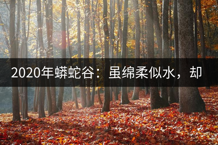 2020年蟒蛇谷：雖綿柔似水，卻氣場十足-易武中聘號