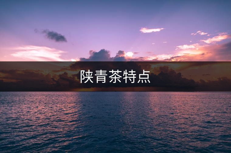 陜青茶特點 陜青茶特點