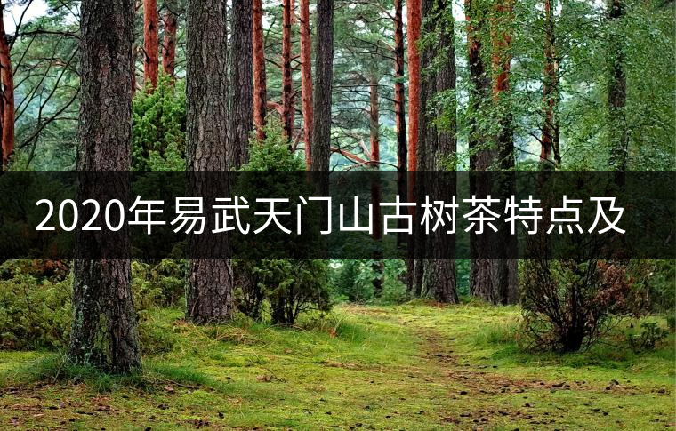2020年易武天門山古樹茶特點(diǎn)及價(jià)格-易武中聘號 2020年易武天門山古樹茶特點(diǎn)及價(jià)格-易武中聘號