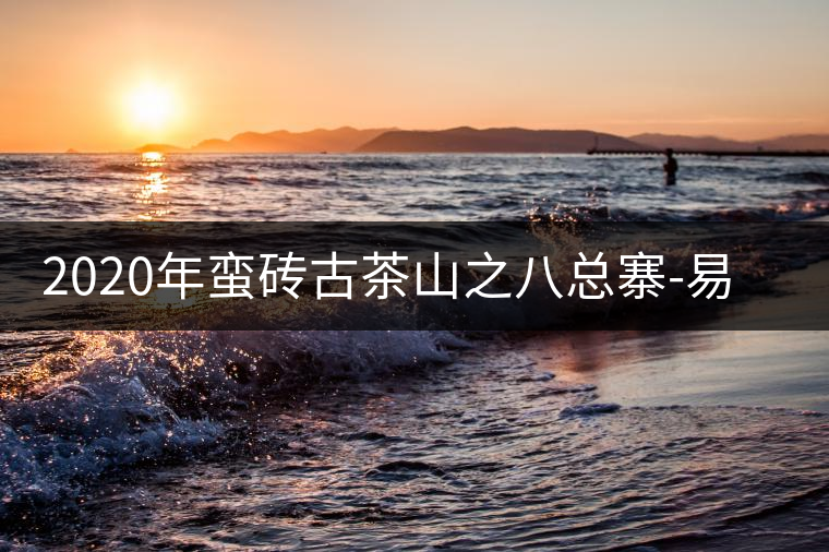 2020年蠻磚古茶山之八總寨-易武中聘號