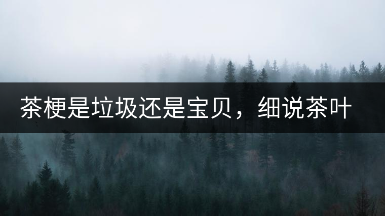 茶梗是垃圾還是寶貝，細說茶葉的那些梗