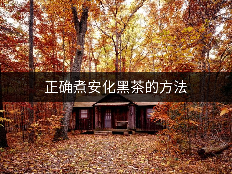 正確煮安化黑茶的方法 正確煮安化黑茶的方法