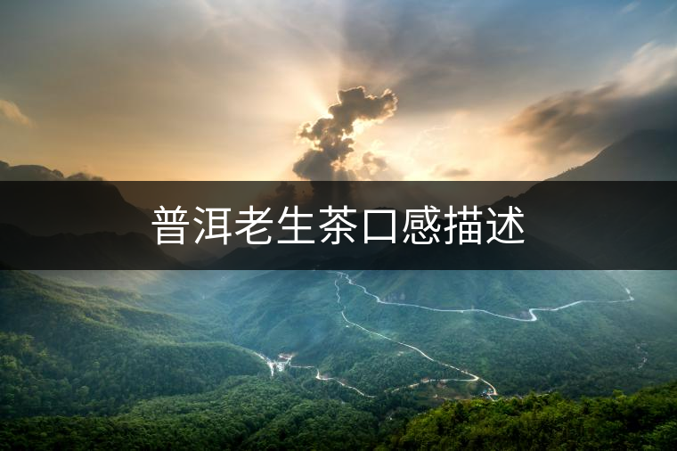 普洱老生茶口感描述