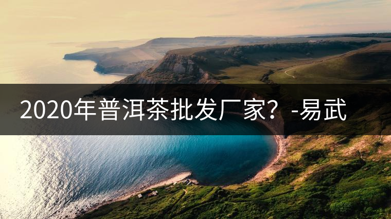 2020年普洱茶批發(fā)廠家？-易武中聘號