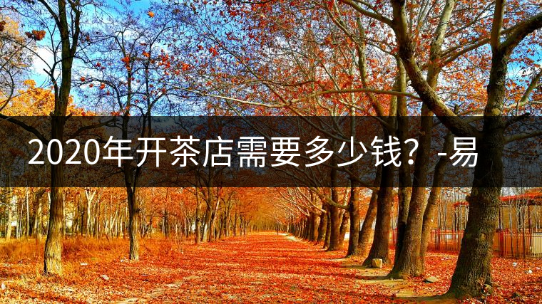 2020年開茶店需要多少錢？-易武中聘號