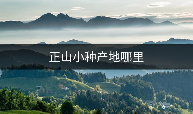 正山小種產(chǎn)地哪里 正山小種產(chǎn)地哪里