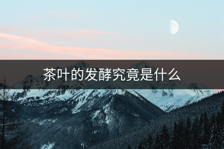 茶葉的發(fā)酵究竟是什么