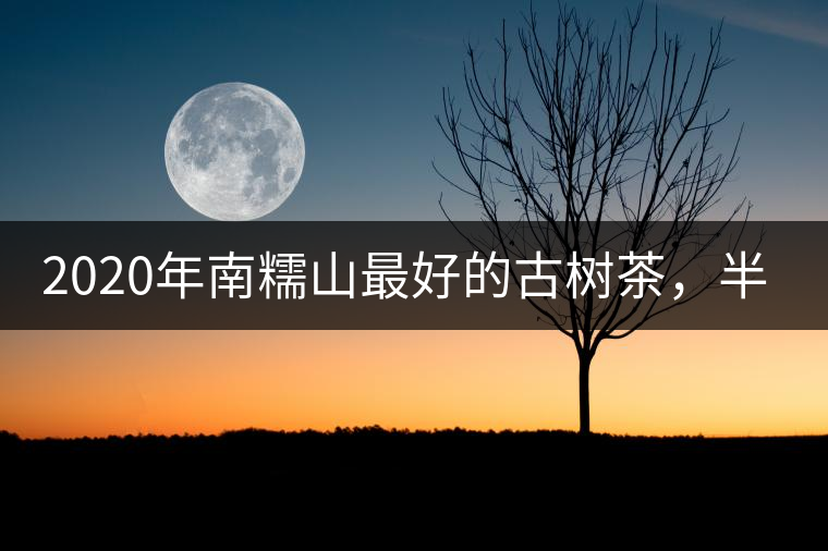 2020年南糯山最好的古樹茶，半坡老寨！-易武中聘號