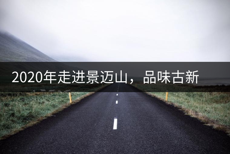 2020年走進(jìn)景邁山，品味古新六大茶山古樹茶之韻-易武中聘號