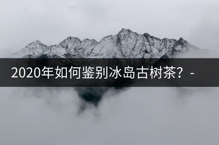 2020年如何鑒別冰島古樹(shù)茶？-易武中聘號(hào)