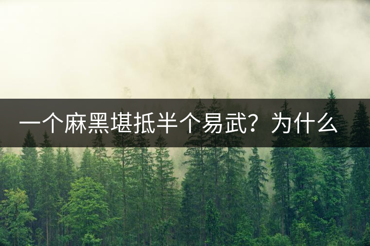 一個麻黑堪抵半個易武？為什么這么好喝？