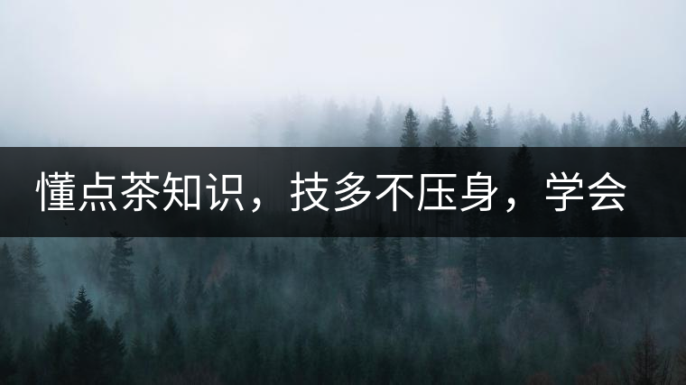 懂點(diǎn)茶知識(shí)，技多不壓身，學(xué)會(huì)這些秒變茶藝高手