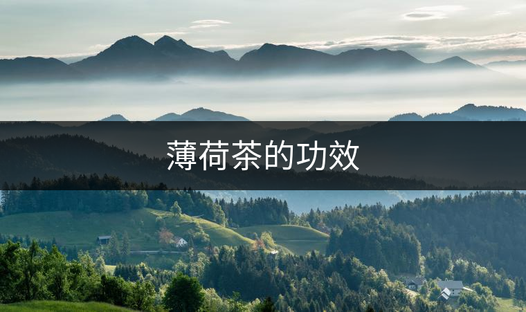 薄荷茶的功效 薄荷茶的功效