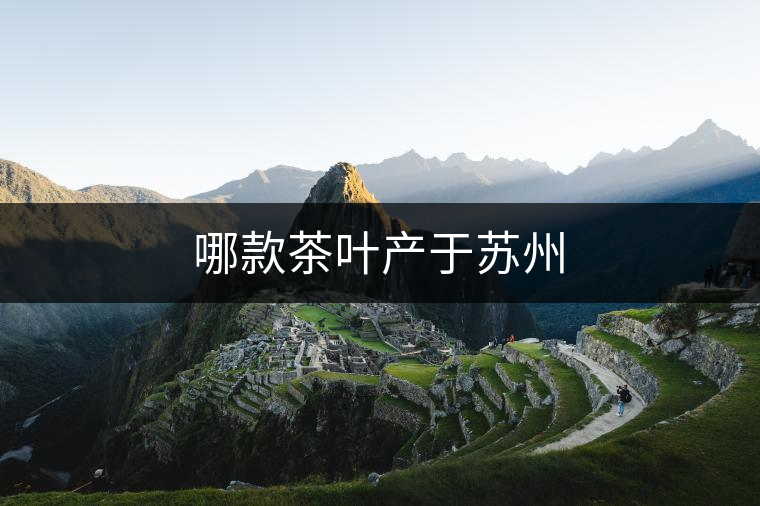哪款茶葉產(chǎn)于蘇州