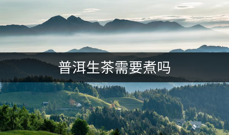 普洱生茶需要煮嗎