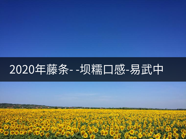 2020年藤條- -壩糯口感-易武中聘好 2020年藤條- -壩糯口感-易武中聘好