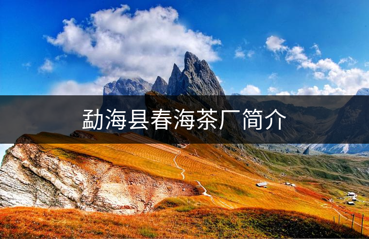 勐?？h春海茶廠簡(jiǎn)介