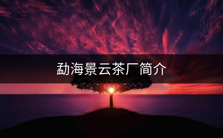 勐海景云茶廠簡(jiǎn)介