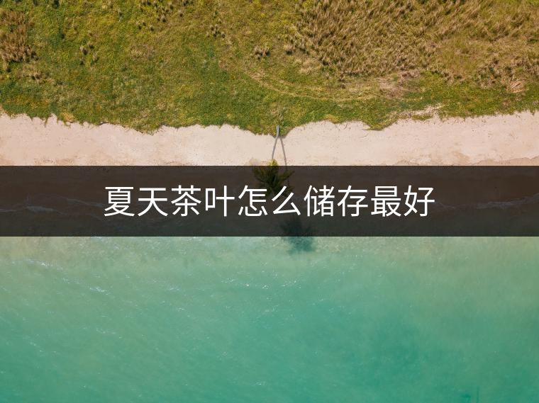 夏天茶葉怎么儲(chǔ)存最好 夏天茶葉怎么儲(chǔ)存最好