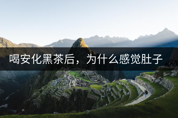 喝安化黑茶后，為什么感覺肚子餓的快？