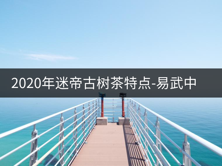 2020年迷帝古樹(shù)茶特點(diǎn)-易武中聘號(hào) 2020年迷帝古樹(shù)茶特點(diǎn)-易武中聘號(hào)