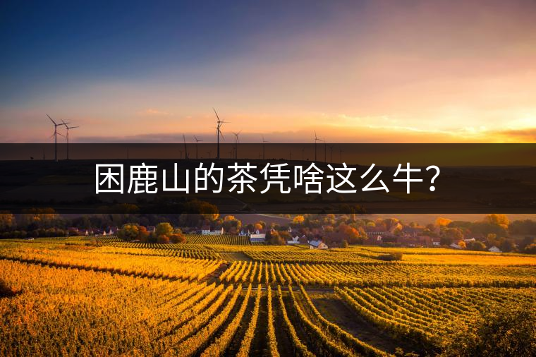 困鹿山的茶憑啥這么牛？