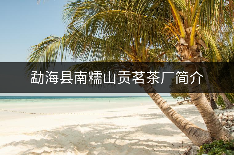 勐??h南糯山貢茗茶廠簡介 勐海縣南糯山貢茗茶廠簡介