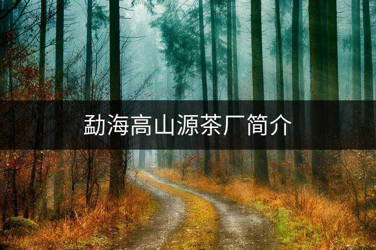 勐海高山源茶廠簡介 勐海高山源茶廠簡介