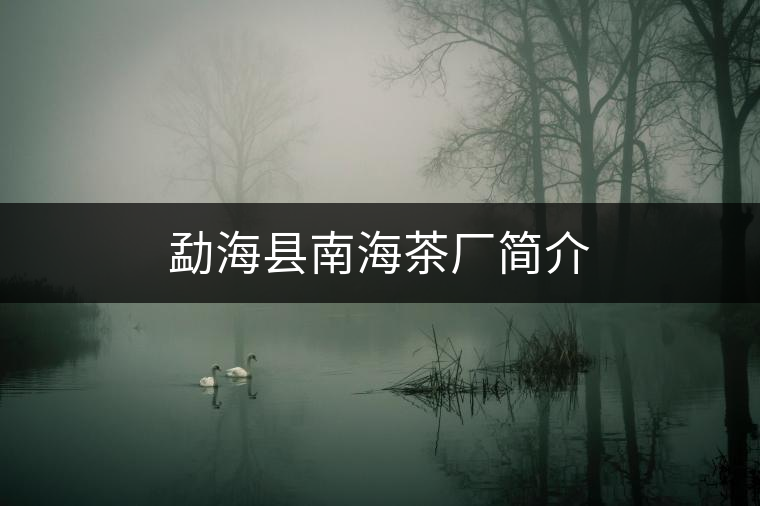 勐海縣南海茶廠簡介